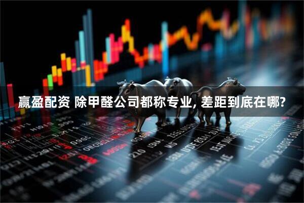 赢盈配资 除甲醛公司都称专业, 差距到底在哪?